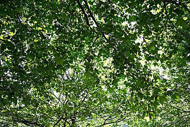 回合制战略游戏《地狱王座》现已在Steam平台正式推出