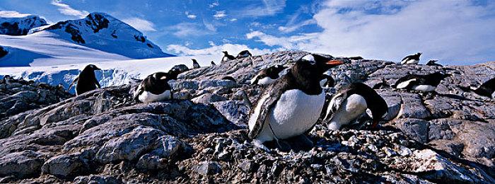 前B社高级美术师：《星空》原计划是更加血腥暴力