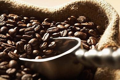 《赛博朋克2077：往日之影》新概念图 昔日乐园狗镇